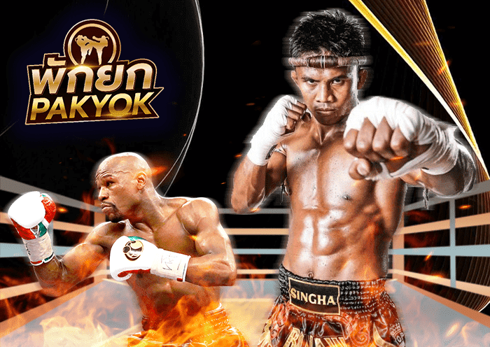 มวยพักยก By AIRBET1